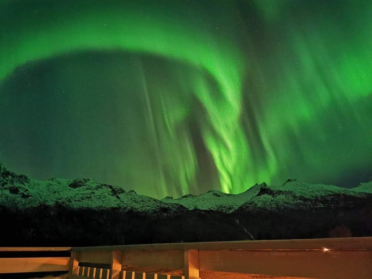 Unique And Charming House At The Foot Of Lofoten'S Highest Mountain Svolvær Exterior photo