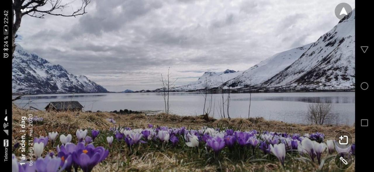 Unique And Charming House At The Foot Of Lofoten'S Highest Mountain Svolvær Exterior photo